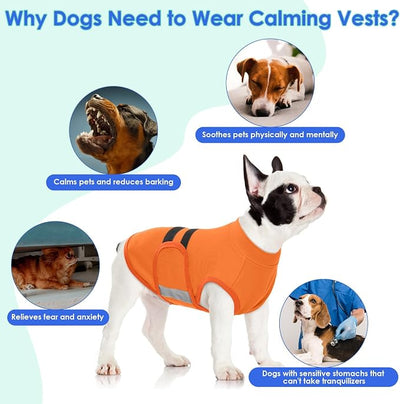 MIGOHI Dog Anxiety Relief Coat,Comfort Anxiety Vest for Dogs,Adjustable Dog Anxiety Calming Wrap for Fireworks,Thunderstorms,Travel,Separation,Anxiety Jacket for Small Dogs,S,Orange