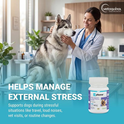 Vetoquinol Zylkene Calming Support Supplement for Large Dogs 33-132lbs, Promotes Relaxation, Reduces Stress, and Supports Occasional Anxiety Relief for Dogs, 450mg - 30 Capsules