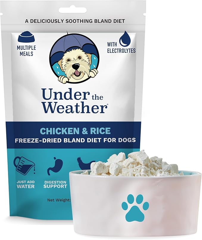 Bland Diet for Dogs | Easy to Digest for Sick Dogs | Always Be Ready | Contains Electrolytes - All Natural Freeze Dried 100% Human Grade Meats | 1 Pack - Chicken, Rice - 6oz