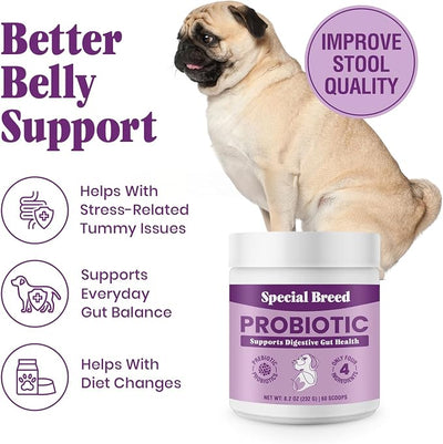 Probiotics for Dogs - Dog Probiotics Powder for Digestive Health, Gut Support & Immune Boost - Premium Blend with Prebiotics & Digestive Enzymes - Maximum Potency - 60 Scoops