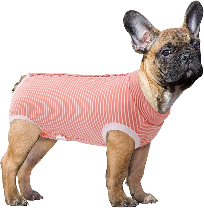 SAWMONG Recovery Suit for Dogs After Surgery Professional, Dog Spay Surgical Suit for Female Dogs, Dog Onesie Bodysuit for Surgery Male Substitute E-Collar Cone, Pink, XX-Large