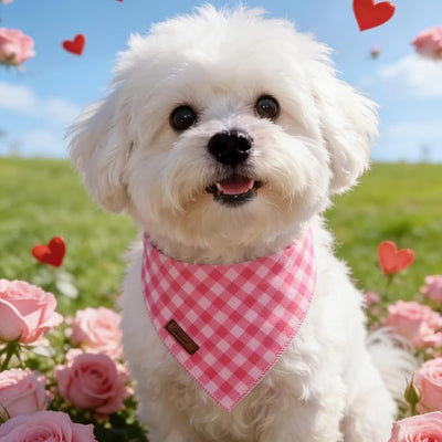 Plaid Dog Bandana - Soft Pink Checkered Dog Neck Scarf, Cute Spring Pet Bib for Puppy Kitten, Sweet Photo Dogs Cats Prop for Daily Use Parties & Pet Photography, S