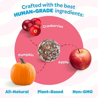 Cranberry, Pumpkin, & Apple Healthy Dog Treats - Vegan, Non-GMO, Human Grade - All Breeds, Sizes, & Ages - All Natural, Lean, Gluten-Free, Soft & Chewy - 6pk (108 Dog Treats Bulk)