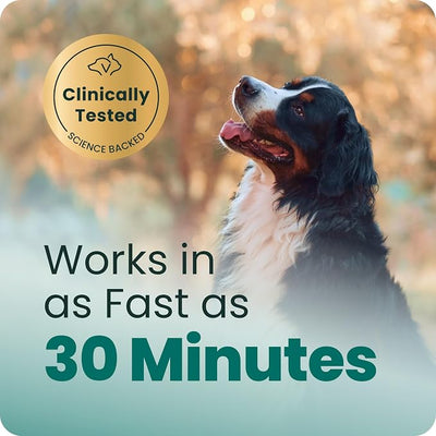 VetriScience Calm & Confident Chews, Composure Clinically Tested Calming & Anxiety Supplement for Dogs, Reduce Stress & Fear, Ideal for Thunderstorms, Fireworks & Travel, Peanut Butter, 120 Count