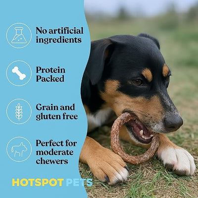 hotspot pets Bully Stick Rings for Dogs (10 Pack) 4 Inch Circles- Premium All Natural Long Lasting Twisted Beef Pizzle Dog Chew Treats - Grain Free, Fully Digestible, Rawhide Alternative Thick Chews