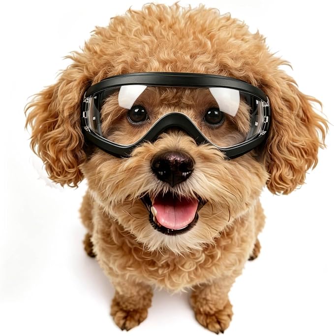 Clear Dog Goggles for Small Dogs, UV Protection Pet Sunglasses for Small Dog Breeds, Windproof Dust-Proof, Little Dog Eye Protection for Outside Cycling Driving, Adjustable Straps, Clear