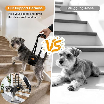 Vivifying Dog Lift Harness for Small Dogs, Soft Flannel Rear Leg Support Sling, Adjustable Dog Lifting Harness for Weak Back Legs, Senior Injured Disabled Dogs, ACL Surgery Mobility Assist, S, Gray
