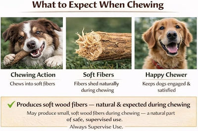 Coffee Wood Dog Chew - Natural Stick for Moderate Chewers, Safe Alternative to Nylon & Plastic, Medium