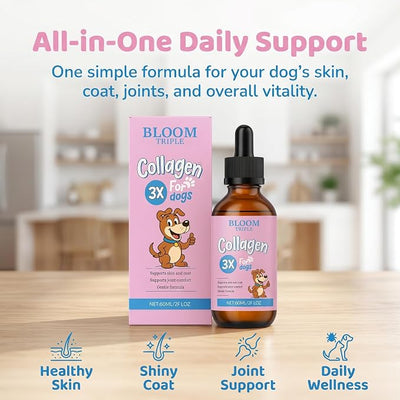 Collagen Liquid for Dogs - 3-Type Collagen Supplement for Skin, Coat & Joint Support, Daily Wellness Formula, Easy Absorption Liquid Drops, Bacon Flavor - 2 fl oz (1)