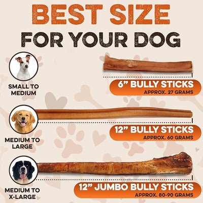 BRUTUS & BARNABY 6 Inch Bully Sticks for Multiple Dogs (100 Count) Bulk Value Pack – Long Lasting Natural Beef Chews, Grass-Fed Pizzle Sticks for Large Dogs & Aggressive Chewers