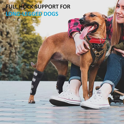 Dog Leg Brace for Back Legs, Canine Hind Hock Brace, Joint Compression Warps Support for Rear Leg with Injury Sprain, Wound Care for Loss of Stability from Arthritis Torn ACL (1 Pair)