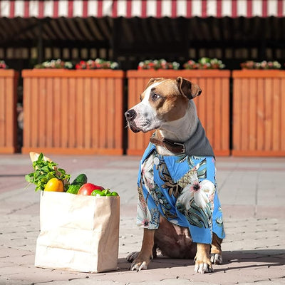 Weewooday 4 Pieces Small Pet Summer T-Shirts Hawaii Style Floral Pet Dog Shirt Breathable Cool Clothes Beach Seaside Puppy Sweatshirt for Puppy(Cute Style,2X-Large)