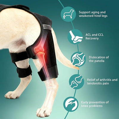 Dog Knee Braces for Torn ACL Hind Leg, Adjustable Dog Leg Braces for Back-Leg with Four Stabilizers for Luxating Patella Relieves Ligament Injury and Joint Pain (2XL)