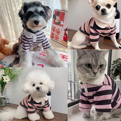 MANON ROSA Dog Clothes, Designer Boy Polo Shirt for Small Medium Dogs, Soft Puppy Outfit, Breathable Male Yorkie Chihuahua Shih Tzu Poodle Kitten Cat T-Shirt, Birthday Gifts - Pink, XL, Fit 12-16.5lbs