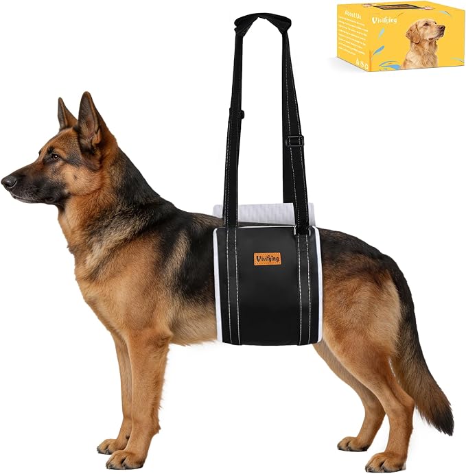 Dog Lift Harness for Large Dogs, Soft Bird's-Eye Rear Leg Support Sling, Dog Lifting Harness for Weak Back Legs, Senior Injured Disabled Dogs, ACL Surgery Mobility Assist, L, White