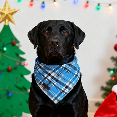 Unique Style Paws Dog Bandanas 1PC Washable Cotton Triangle Dog Scarfs for Small Medium Large Dogs and Cats
