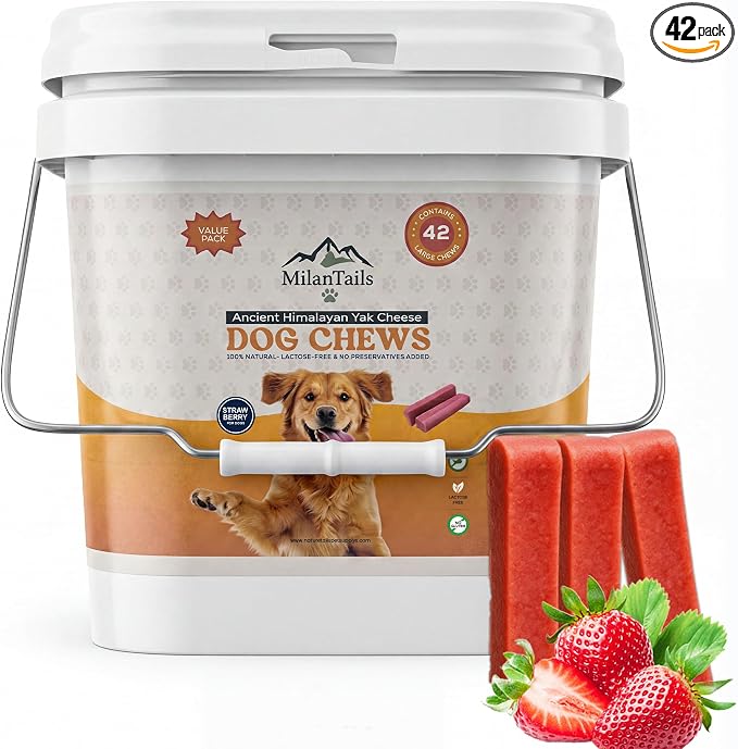 Premium Natural Fruit-Flavored Himalayan Yak Chew for Dogs, All-Natural, Long-Lasting (Large 42 Pack Bucket, Strawberry)