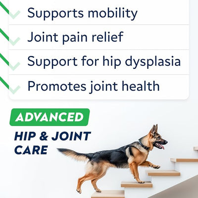 Advanced Glucosamine Hip & Joint Supplement for Senior Dogs - Green Lipped Mussel & Collagen - Hip & Joint Pain Relief - Large & Small Breed - Joint Health - Bacon - 240 Chews