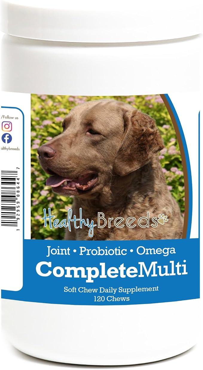 Chesapeake Bay Retriever All in One Multivitamin Soft Chew 120 Count
