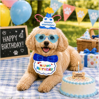 Pet Birthday Outfit for Boy Dog & Cat, 34PCS Puppy Birthday Party Costume with Blue Birthday Hat, Heart Sunglasses & Bandana Bib, Cute Birthday Supplies for Dog Boy Party