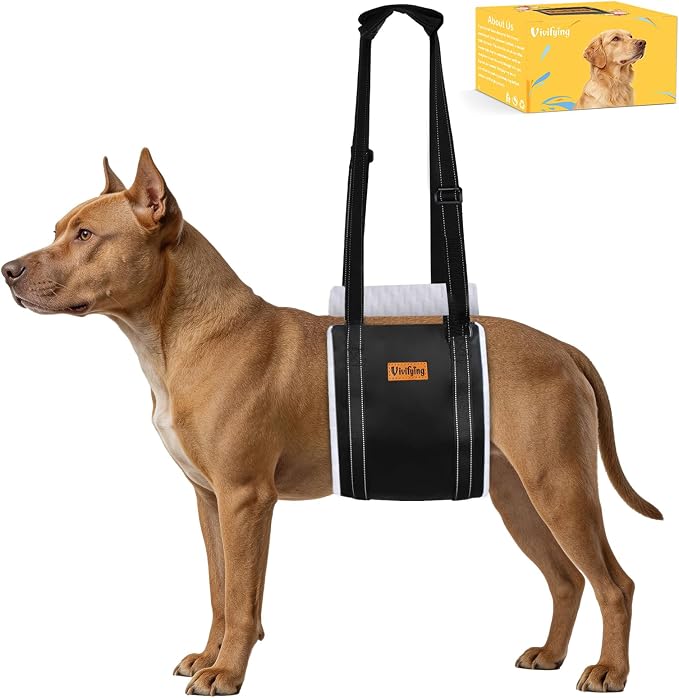 Dog Lift Harness for Medium Dogs, Soft Bird's-Eye Cloth Hind Leg Support Sling, Adjustable Dog Lifting Harness for Weak Rear Legs, ACL Surgery Mobility Assist, M, White