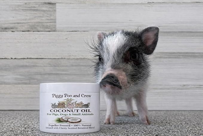 Piggy Poo and Crew Coconut Oil for Pets – Natural Cherry Scent, Botanical Infusion, Skin & Coat Moisturizer for Pigs, Dogs & Small Animals