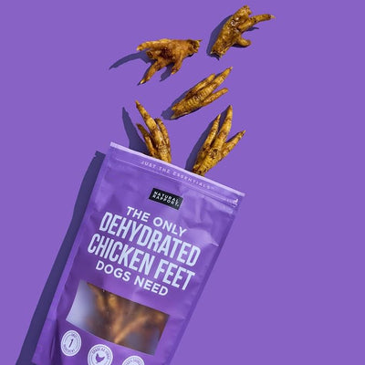 Natural Rapport Dehydrated Chicken Feet Dog Chews - Jumbo Size, Natural Glucosamine & Collagen for Joint & Dental Health (12 Count)