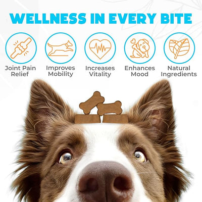 Glucosamine HCL & Hip and Joint Supplement for Dogs - 150 pcs - Hip and Joint Chews for Dogs - Vet Approved US Formula with MSM & Green Lipped Mussel - Beef