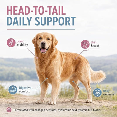Collagen for Dogs, Healthy Skin & Coat, Supports Joint, Immune System & Hips - Collagen Supplement - 2 Fluid Ounces (1 Pack)