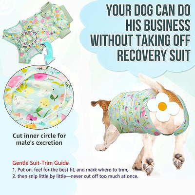 Lukovee Recovery Suit for Dogs, Zipper On Dog Surgery Suit for Female Male Dog, Onesies Bodysuit Prevent Licking Spay Abdominal Wounds Bandages E-Collar Alternative (Green, M)