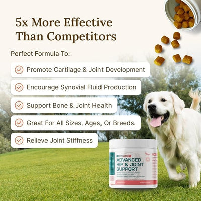 Mobility Max Dog Hip and Joint Supplement with Glucosamine, Chondroitin, MSM & Vitamin C – Hip and Joint Chews for Dogs – 9-in-1 Advance Formula – 60 Bacon Flavor Chews for Active & Senior Dogs