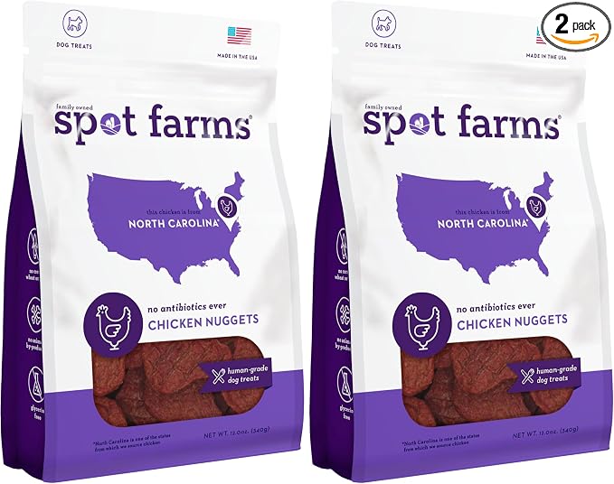 Chicken Nuggets Healthy All Natural Dog Treats Human Grade Grain Free 12 oz (Pack of 2)