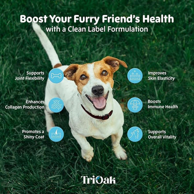 Premium Hydrolyzed Liquid Collagen Drops for Dogs: Grass-Fed Bioactive Peptides with Vitamin C, Biotin & Hyaluronic Acid - 4-in-1 Collagen Supplement for Hip & Joint, Skin & Coat & Itch Relief Support