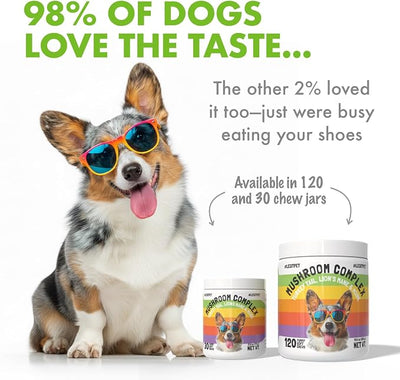 Mushroom Complex Treats for Dogs with Reishi, Shiitake, and Turkey Tail Mushrooms for Cognition and Immune Boosting Supports Digestive Health and Reduces Inflammation DHA EPA Turmeric Kelp 30 Chews