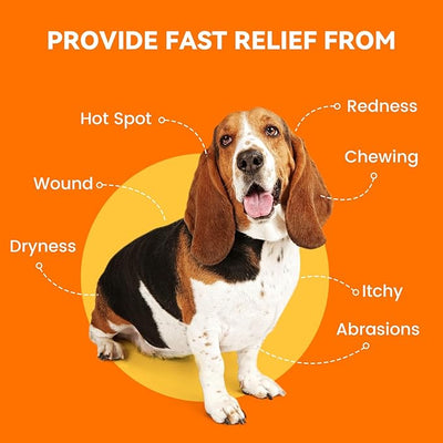 PUAINTA Hot Spot Spray for Dogs, Upgraded Quantum Silver Skin Spray for Dogs, Itch Relief and Hot Spot Treatment for Dogs, Supports Skin Infections and Irritations for All Animals, 4oz