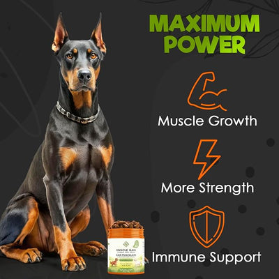 ZENO 11-in-1 Muscle Gain Chews - Weight Gain Supplements for Dogs with High Protein & Amino Acids - Premium Muscle Builder for Bully & All Breeds - Healthy for Puppies - 150 Chews - Duck