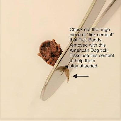 Tick Buddy (Six Pack) Stainless Steel Tick Removal Tool for Dogs Cats Pets and People