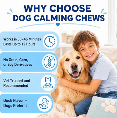 Calming Chews for Dogs, Dog Calming Treats with Melatonin, Stress & Anxiety Relief, Relaxation Aid for Travel, Vet Visits, Fireworks, Storms & Separation, Duck Flavor, 200 Soft Chews