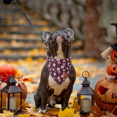 PTDECOR Halloween Dog Bandana, Pink Skeleton Pumpkin Reversible Holiday Dog Scarf, Triangle Female Halloween Bandanas for Medium Large Dogs Pets (Large)