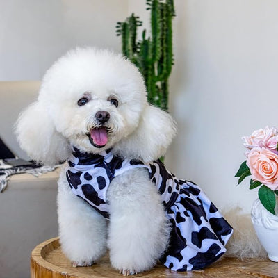 CuteBone Turtleneck Dog Velvet Dress Puppy Skirt Costume Pet Clothes Cat Apparel with Bow Hair Rope for Small Dogs CVD07L