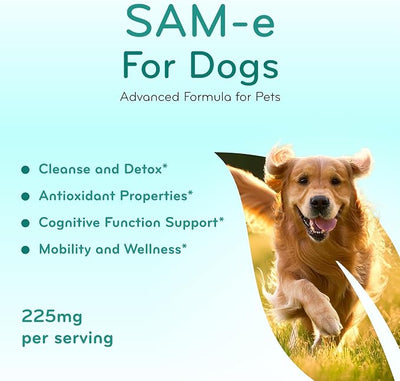 Liver Support for Dogs with SAM-e - Chewable SAM-e for Dogs Bone Mood Brain and Liver Support Supplement with Easy Absorption 225mg S-Adenosyl-L-Methionine - Made in a cGMP US Lab (Single)