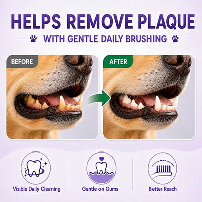 Dog Toothbrush, Dual-Head, for Medium-Large Dogs, Green | Soft Bristles for Gentle Cleaning, 60° Curved Bristles for Better Coverage, Comfortable for Sensitive Gums