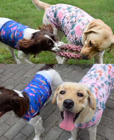 Dog Hawaiian Shirts,Wettable Water, Instant Cooling, Air-mesh Fabric Dog UV Shirt,Quick Dry Sun T-Shirt for Small Medium Large,2Pack.