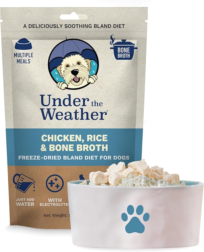 Bland Diet for Dogs, Chicken Rice & Bone Broth, 6oz | Easy to Digest for Sick Dogs, Contains Electrolytes, All Natural Freeze Dried, 100% Human Grade Meats, 1 Pack