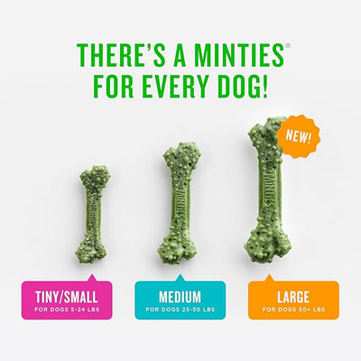 Minties Dog Dental Bone Treats, 80 Count FreshBites Soft and Chewy Dental Treats for Dogs, 50 Count