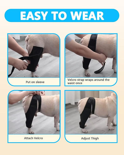 Dog Rear Leg Sleeve to Prevent Licking - Reusable Dog Surgery Recovery Suit with Adjustable Velcro, Breathable Comfortable Recovery Sleeve for Hot Spots & Wounds, Cone Alternative (M Size)