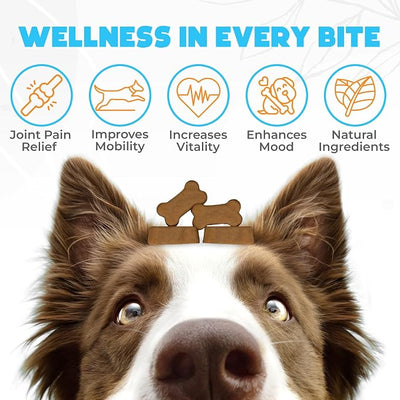 ZENO Glucosamine HCL & Hip and Joint Chews for Dogs - 150 pcs - Advanced Hip and Joint Support for Senior Dogs - with MSM & Green Lipped Mussel - Beef