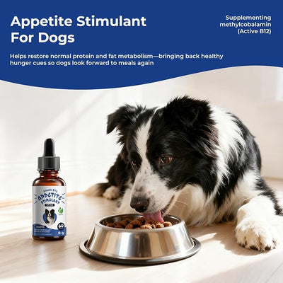 Appetite Stimulant for Dogs – Liquid Vitamin B12 Drops, Methylcobalamin(Methyl B12) Dog Supplement, Boosts Appetite, Energy, Mood, Recovery - 2 fl oz (60ml)