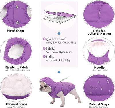 SAWMONG Waterproof Dog Winter Coat, Warm Fleece Lined Dog Jacket with Hood, Windproof Puppy Coat, Pet Apparel Vest Outdoor&Indoor Winter Activities(Purple,M)