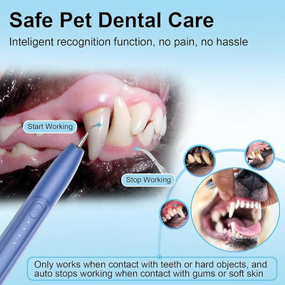 Ultrasonic Dog Plaque Remover Tool, 3 Modes Plaque and Tartar Remover for Dogs, Low Noise Sonic Dog Tartar Remover Dogs Plaque Remover with Toothbrush 2 Cleaning Head for Pet Dental Care, Blue